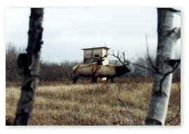 McKen Hunting uses a number of ‘blinds’ similar to that shown here. Click on image for full size view.